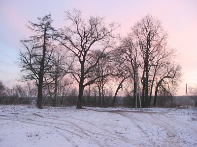 Березино, усадьба: парк (фрагменты) Березино, усадьба: парк (фрагменты)