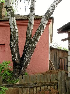 Березино, синагога /сохр. частично/ Березино, синагога /сохр. частично/