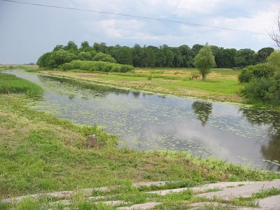 Борисовщина, усадьба: парк Борисовщина, усадьба: парк