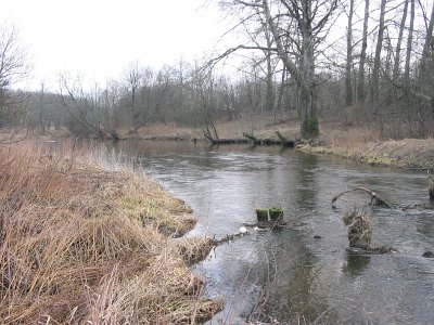 Двор-Новоселки, река Ошмянка Двор-Новоселки, река Ошмянка