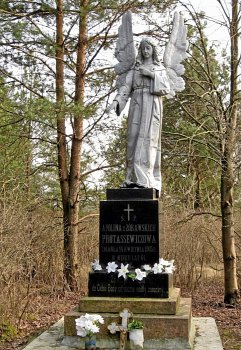 Дворец (Дятлов. р-н), фамильное кладбище Протасевичей Дворец (Дятлов. р-н), фамильное кладбище Протасевичей