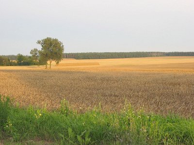Массоляны, фотозарисовки Массоляны, фотозарисовки