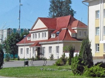 Столин, староство Столин, староство