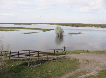 Туров, река Припять Туров, река Припять