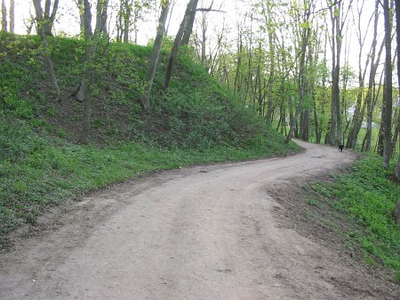 Высокое (Камен. р-н), замок: остатки земляных укреплений Высокое (Камен. р-н), замок: остатки земляных укреплений
