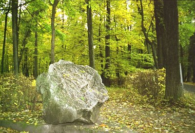 Жиличи (Киров. р-н), усадьба: парк Жиличи (Киров. р-н), усадьба: парк